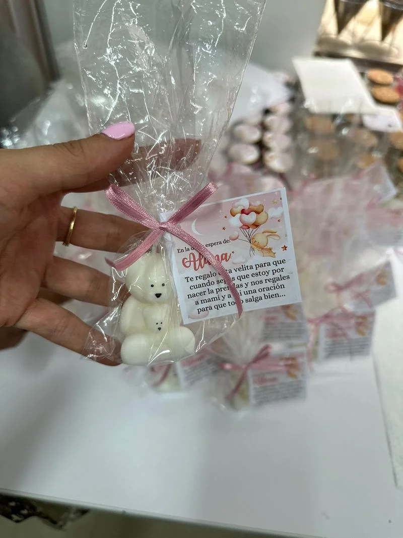 Osito con Bebé en Bolsita