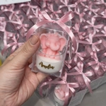 Elefanta en Cajita de Acetato Premium - Vista 1