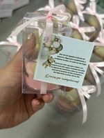 Osito Grande en Cajita de Acetato - Vista 6